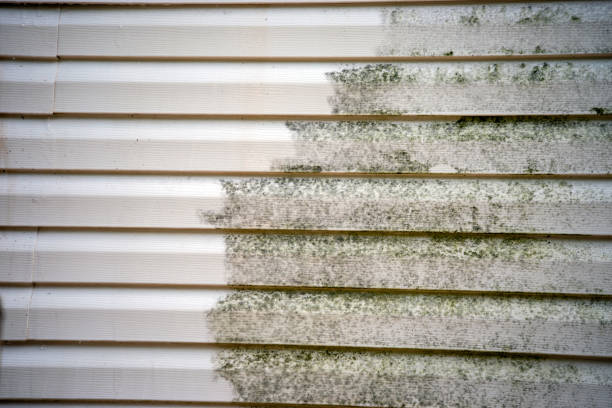 Best Construction Debris Removal  in Kingstree, SC